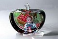 SJ18_246x246.jpg