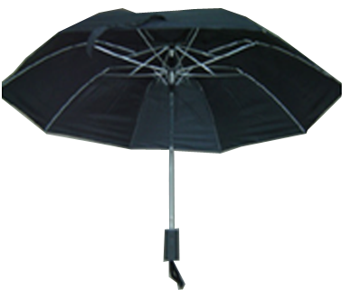 2 Folding Umbrella